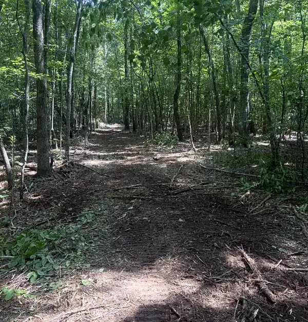 Mulched trail cut through hardwood timber in West Alabama
