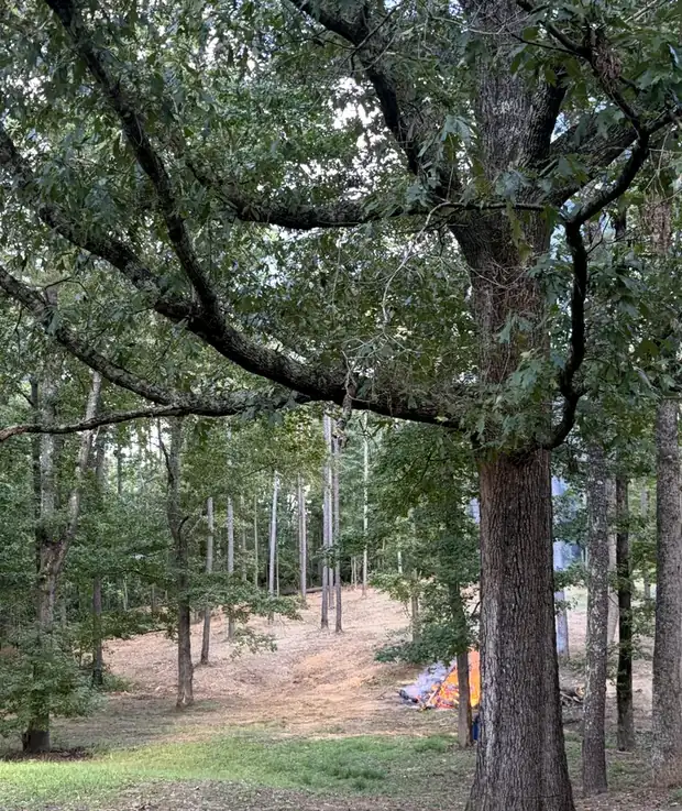 Land Clearing work by Down South Land Solutions in West Alabama