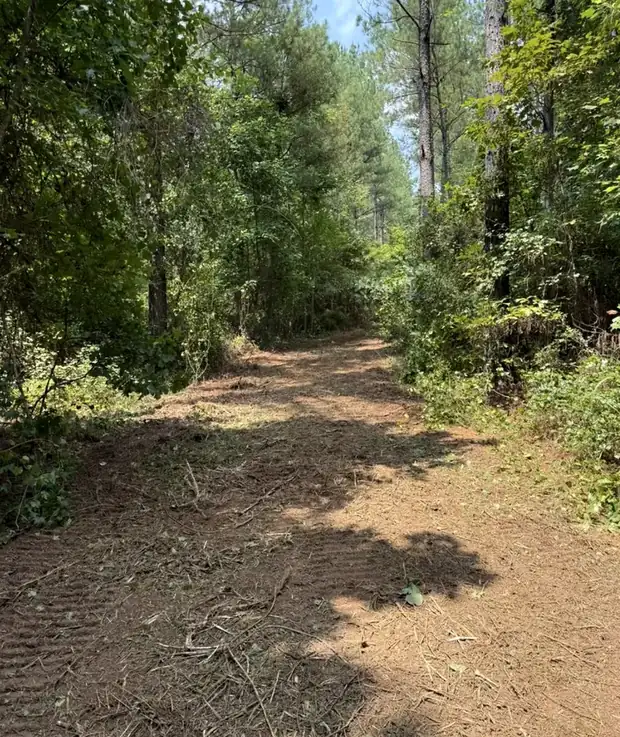 Site Work work by Down South Land Solutions in West Alabama